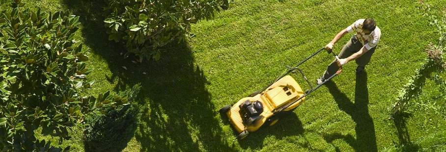 Die besten Solar-Features zur Aufwertung Ihres Gartens